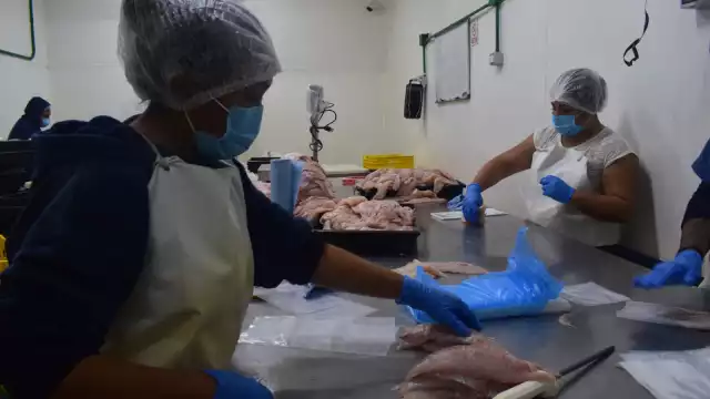 Los trabajadores suelen laborar hasta 20 horas seguidas