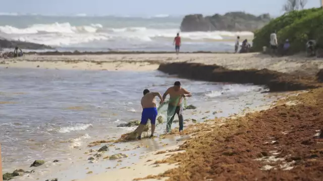 Según el informe del Instituto Oceanográfico del Golfo y Mar Caribe, la parte más afectada será de Puerto Aventuras a Playa del Carmen