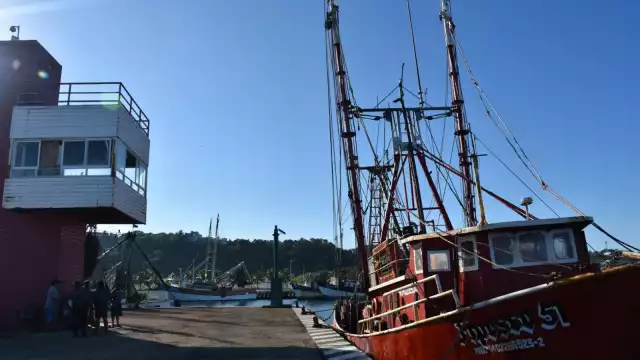 Peligran 40 embarcaciones de altura, cuya producción es equivalente a 50 millones de pesos una vez colocada en la Unión Americana