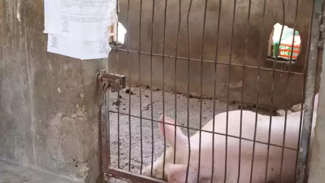 Más de 500 pobladores fueron intoxicados en el llamado “domingo negro” en Seyé