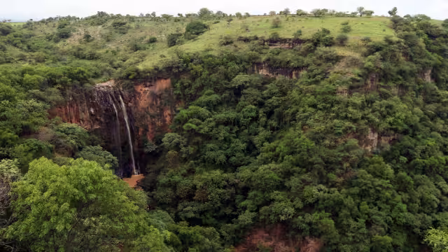 El estudio, publicado en la revista Science, involucró a investigadores del CICY, la Universidad de Wageningen, en Países Bajos, y la Universidad Mayor, en Chile