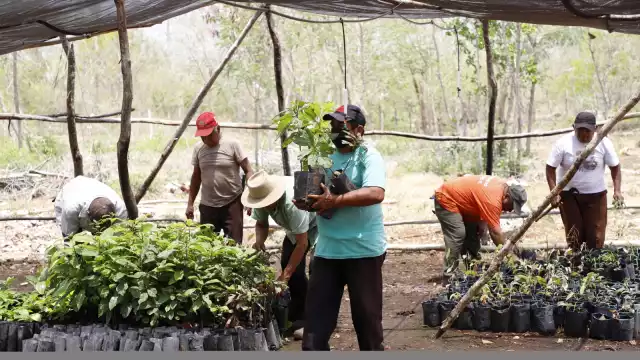 El objetivo de estos fondos es “facilitar el acceso a préstamos por medio de operaciones de crédito y descuento y el otorgamiento de garantías de préstamos