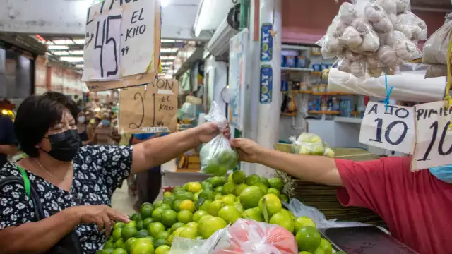 Destacaron la baja del monto del jitomate, chile poblano y calabacita, entre otros tubérculos