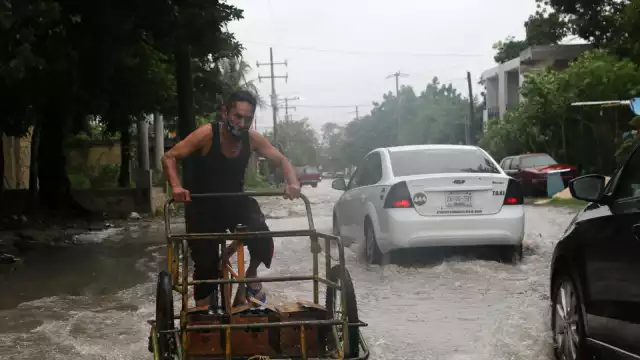 El paso de este fenómeno causó desgajamiento de ramas, caída de árboles, así como de postes y cables de electricidad en la colonia. Foto: Erick Marfil