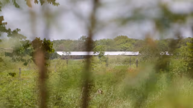 Los cuerpos de agua de los cenotes están contaminados por las descargas que hacen las granjas al manto freático
