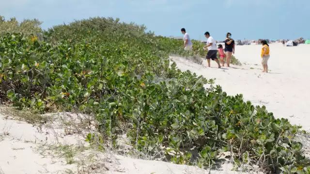El desplazamiento favorecerá a la erosión y no aportará defensa ante fenómenos como huracanes