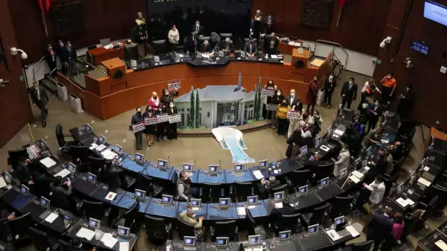 Senado aprueba garantizar afiliación al IMSS a personas trabajadoras del hogar