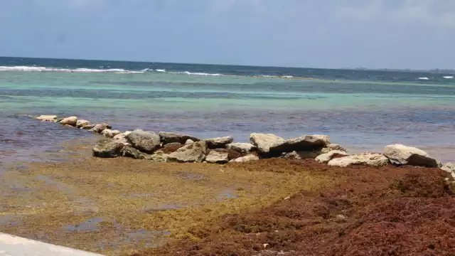 Las piedras pueden bloquear el paso a las tortugas marinas que llegan a desovar a las playas de Mahahual