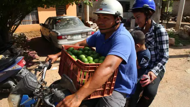 Vendedores compran cajas de limón persa de 18.5 kilos a mil 100 pesos y lo ofrecen a 60 y hasta 65 pesos en Mérida