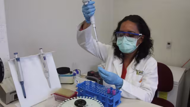 Continúa la búsqueda de una vacuna universal para detener esta pandemia