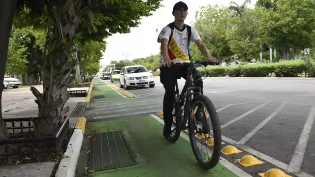 La inseguridad vial afecta a vehículos motorizados, peatones y ciclistas.