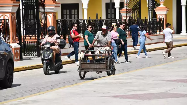 Intensificarán labores de fumigación en todo el Estado de Campeche