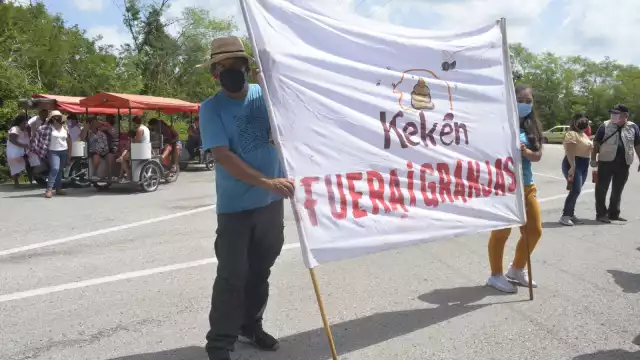 “El pueblo de Homún  ya decidió que no quiere la granja, se lo hemos dicho a los jueces", expusieron los manifestantes