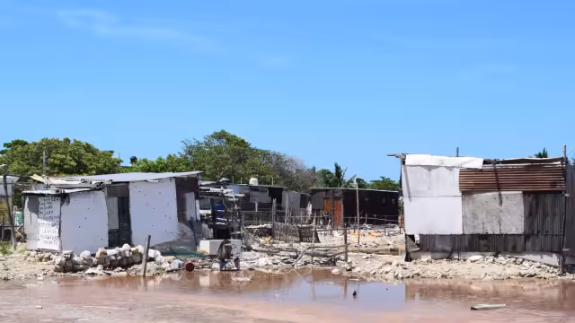 Los habitantes corren el riesgo de ser atacados por caimanes, alerta Profepa