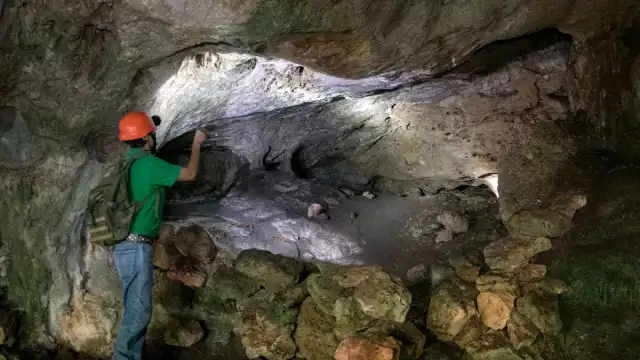 El responsable del lugar platicó que el complejo está ubicado aproximadamente a tres kilómetros de la cabecera municipal y crea una conexión con la naturaleza