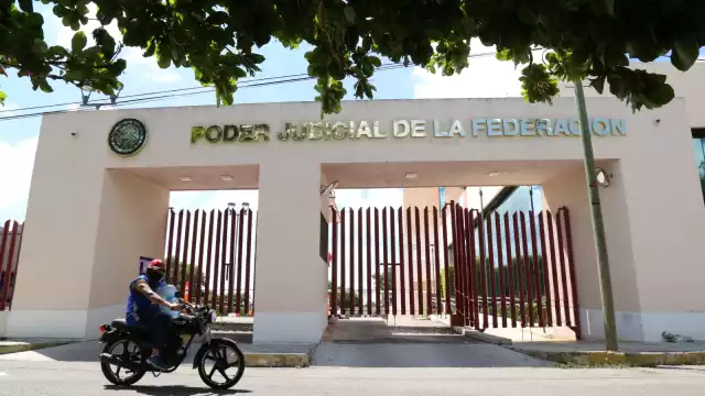 El juez Adrián Novelo definirá hoy si concede o no la suspensión de un criadero de cochinos ubicado en la comisaría izamaleña