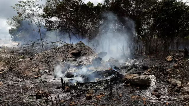 El municipio con mayor afectación el año pasado fue Bacalar con la pérdida de 12 mil 343 hectáreas