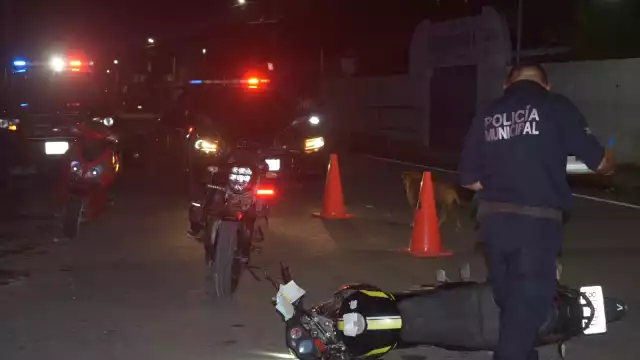 Las autoridades tomaron conocimiento de lo sucedido