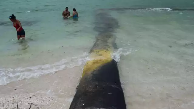 Bañistas señalan que las estructuras son peligrosas, ya que se encuentran en la playa