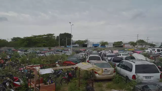 En total son 7 mil 329 vehículos los que están resguardados en los corralones, la mayoría autos,