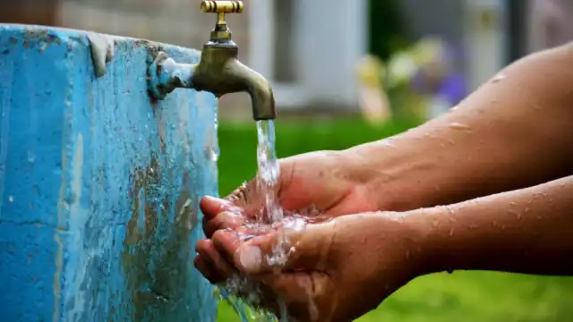 Las aguas tienen coliformes fecales de las granjas porcícolas de Kekén