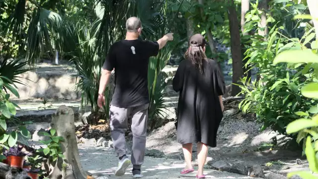 Pese a su reapertura, no ha tenido buena afluencia de visitantes