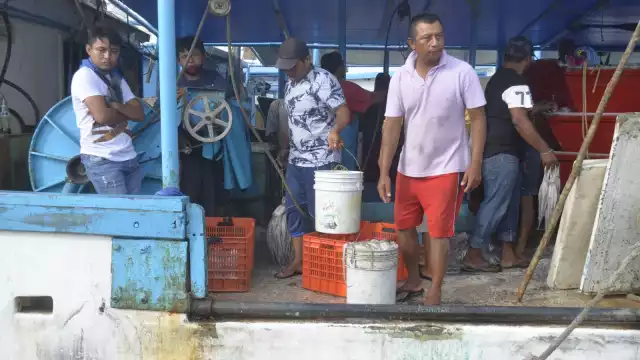 El microorganismo genera una infección crónica degenerativa en estos crustáceos