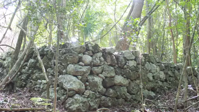 Los vestigios fueron localizados a escasos seis kilómetros de la ciudad, rumbo al camino a Vigia Chico
