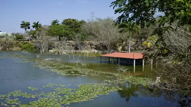 Un aproximado de 2 metros de altura de agua es lo que falta por retirarse del espacio afectado. En la zona no hay ninguna vigilancia de guardaparques