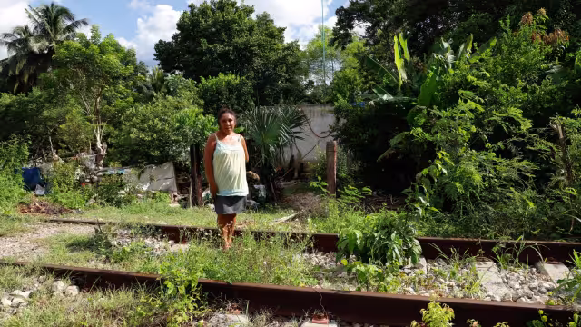 Se han rechazado cinco amparos contra el avance de las obras del Tren Maya. Foto: Martín Zetina