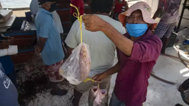 Más de 12 mil pescadores recibirán este año el apoyo directamente en sus hogares