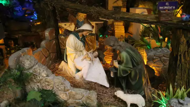 Las puertas del albergue de adultos mayores estarán abiertas de 10:00 a 20:00 horas