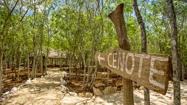 El cenote fantasma se ubica rumbo a Chemax