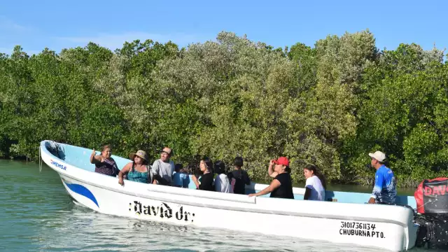 Se ofrecieron viajes con duración de hasta tres horas para deleite de las familias