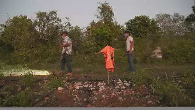 En la carretera Hunucmá-San Antonio Chel hay una decena de áreas sembradas con el cítrico