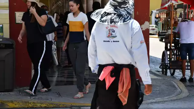 Los empleados presentaron síntomas de dengue