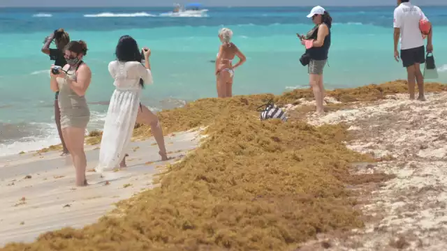 Se podrán apreciar acumulaciones de hasta 50 centímetros