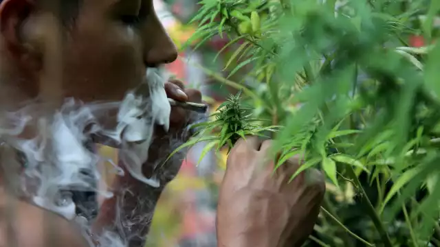 El joven aseguro que toda la familia dio su consentimiento por lo que estaban consientes de lo que estaban consumiendo