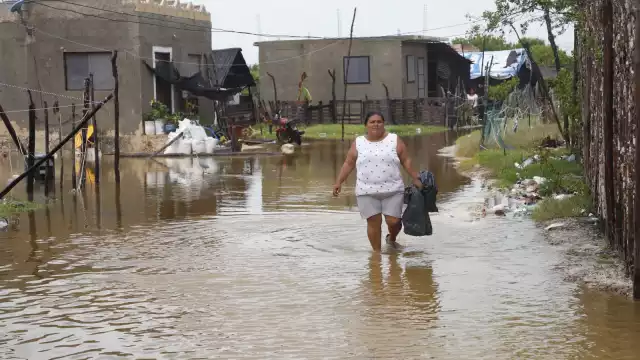 Serán nueve los subcomités encargados de evaluar los daños por Gamma y Delta Foto: Martín Zetina