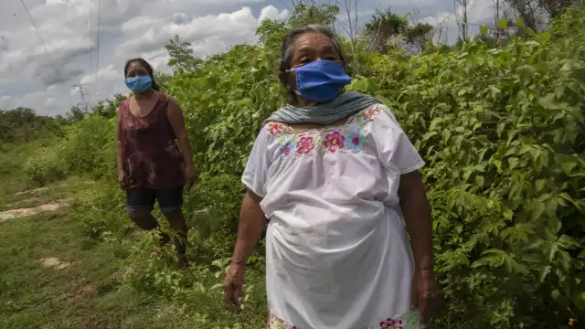 En una década, la cifra de mayahablantes disminuyó en 19 mil 832