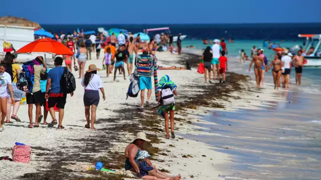 Según los prestadores de servicios turísticos, los visitantes mayormente realizan actividades acuáticas, como pesca, snorkel y buceo