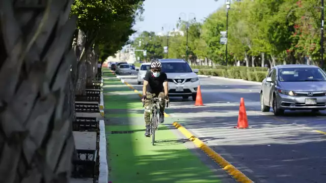 Afirman no estar en contra de la construcción de las ciclovías, sino de que no se les haya tomado en cuenta en el plan