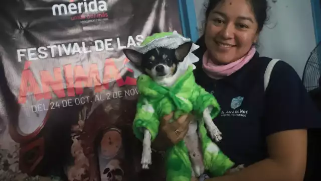 El Pixán Peek se llevará a cabo el 29 de octubre en el parque de San Sebastián en Mérida