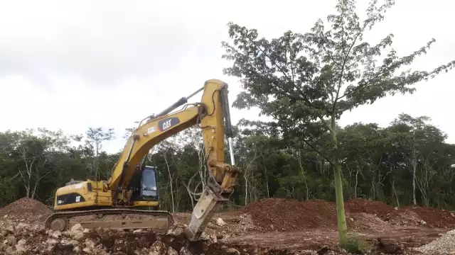 El proyecto afectará a la Península y zonas de Chiapas