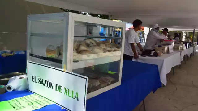 Comerciantes aseguran que quedaron endeudados por participar en la Feria de la Torta de Kibi de Progreso