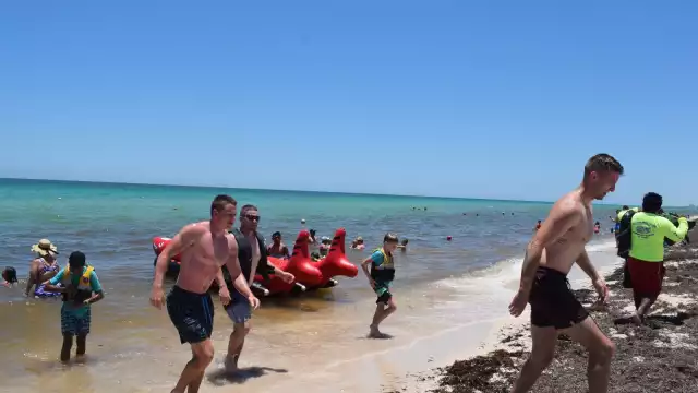 Fueron más de 4 mil turistas que llegaron a Progreso, Yucatán