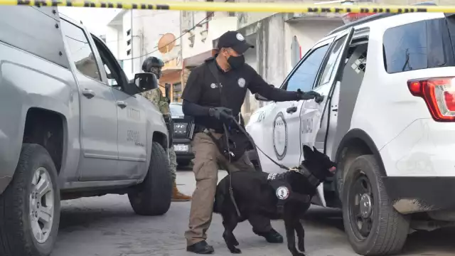 Es el segundo operativo antidrogas realizado en 2023 en Progreso