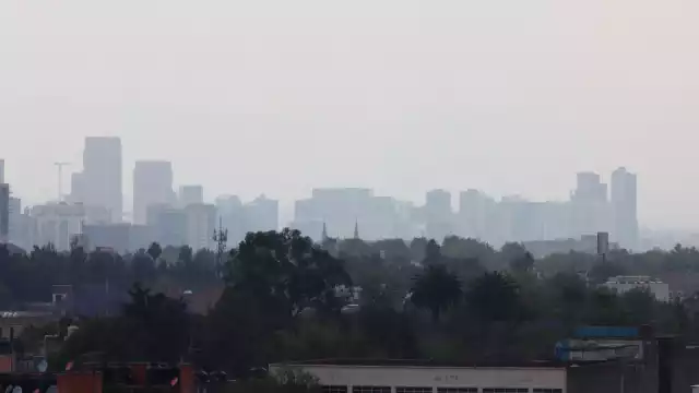 Con esta suspensión regresa a la normalidad el Hoy No Circula en la CDMX y zona metropolitana