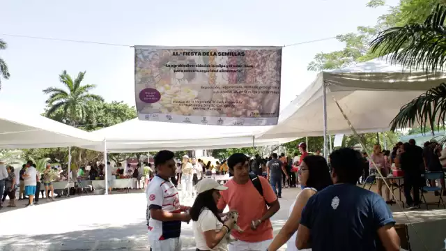 La 'Fiesta de las Semillas' se realiza en el Parque de Santa Ana de Mérida