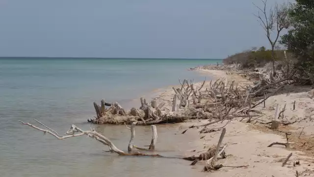 Inmobiliaria El Palmar de Sisal pidió, en 2021 permiso para construir una torre de 11 departamentos de seis niveles